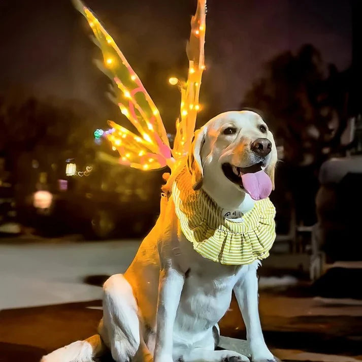 Battery Operated RGB LED Moving Fairy Wings - Transform into an Enchanted Being!